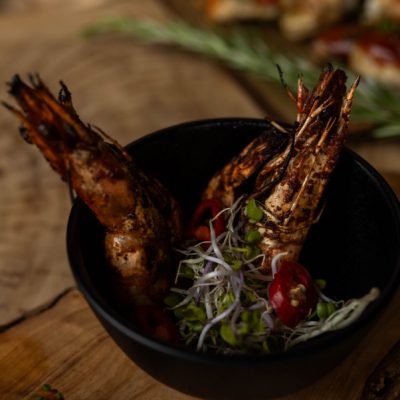 Gamba-Maand--background